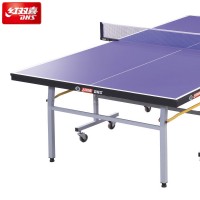 DHS T2023 Pingpong Table